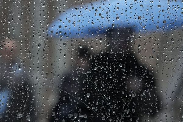 Прогноз погоди на 24 січня