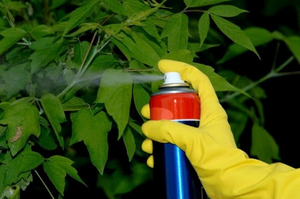 Фунгіциди - кращий засіб захисту рослин