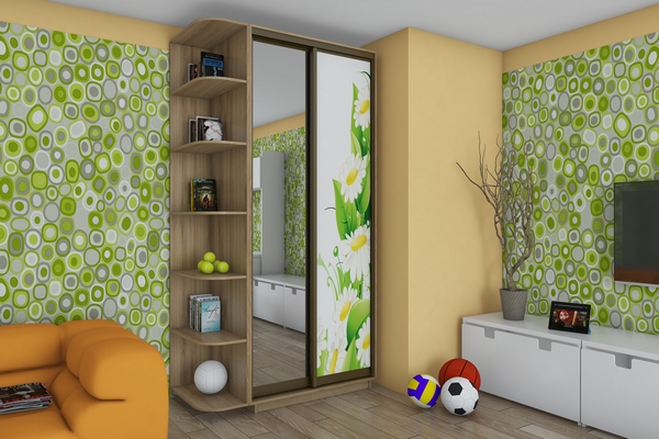 Шкафы-купе: идеальное решение для квартиры и для дома