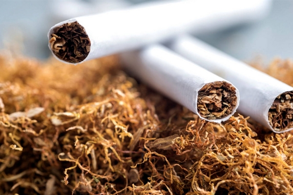 Каталог табака для сигарет и самокруток: что стоит учитывать, выбирая