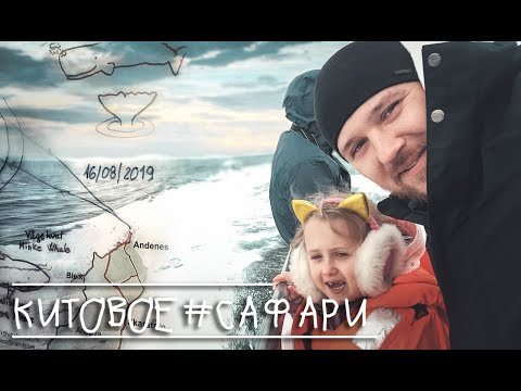 Китовое сафари, Кемпинг Блейк - Поездка в Норвегию с двумя детьми на машине. Часть 8.