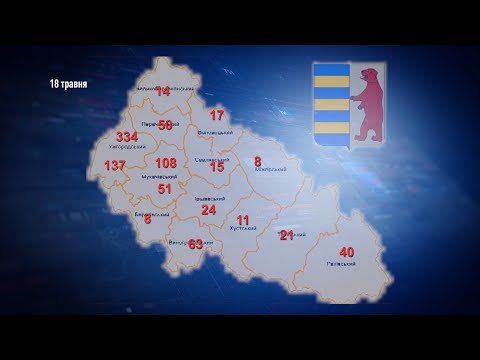 На Закарпатті уже 901 інфікований COVID-19, найбільше хворих в Ужгороді — 334